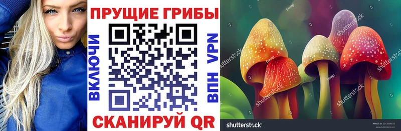 Псилоцибиновые грибы ЛСД  Салехард 